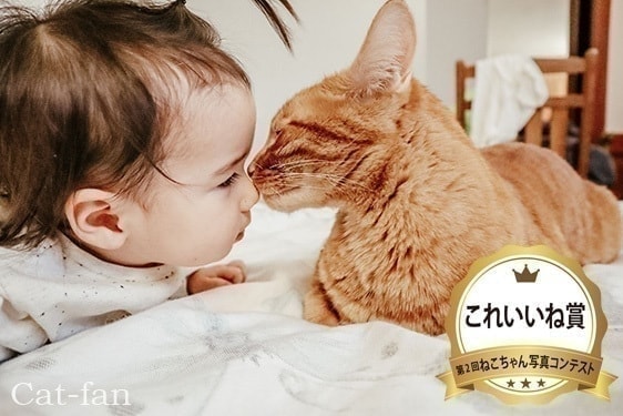 第2回受賞作品これいいね賞