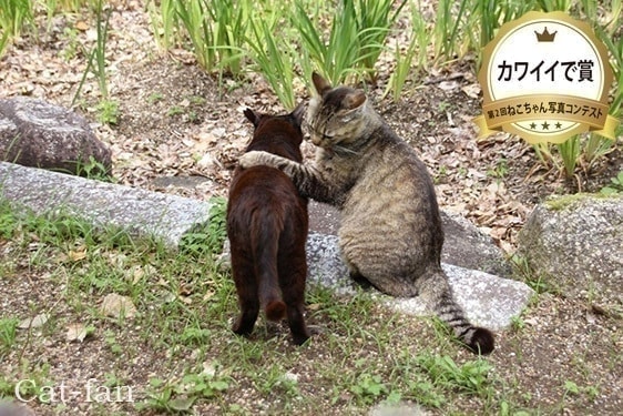 第2回受賞者カワイイで賞