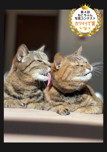 カワイイで賞